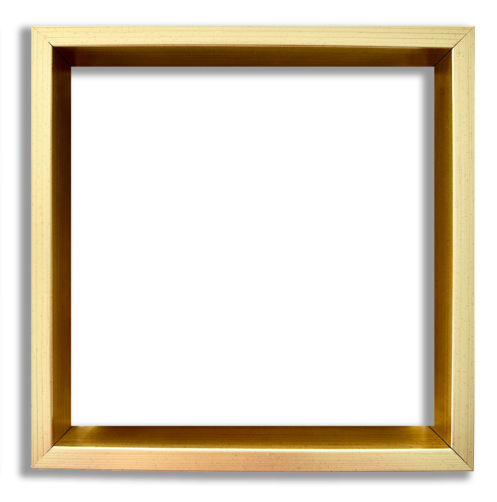 *Gold Floater Frame Addition*